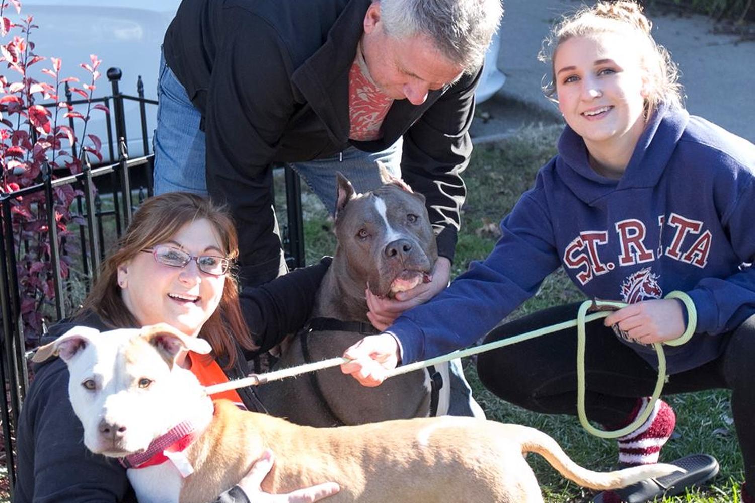 Animal Welfare League  5