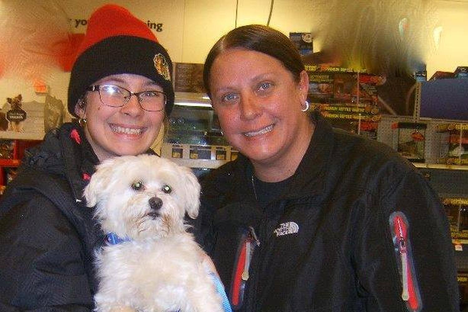 Animal Welfare League  2
