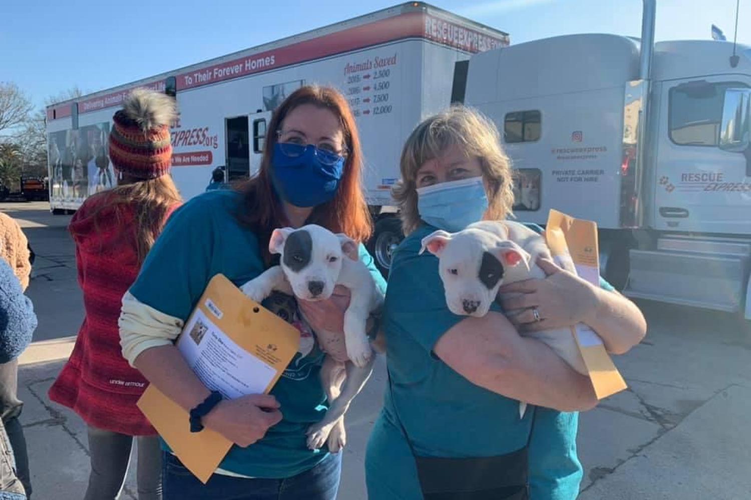 Three Little Pitties Rescue review in Friendswood, Texas MyPetMaps