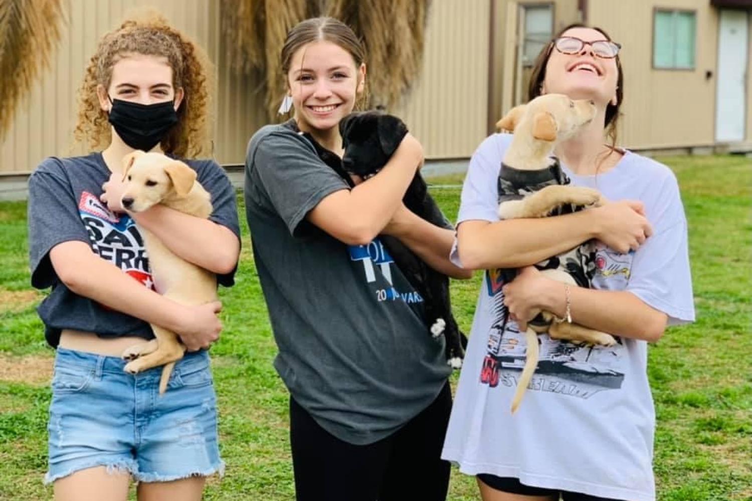 Three Little Pitties Rescue review in Friendswood, Texas | MyPetMaps
