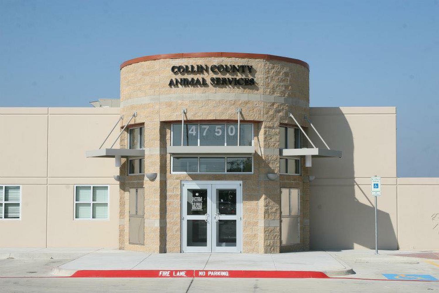 Collin County Animal Services 5