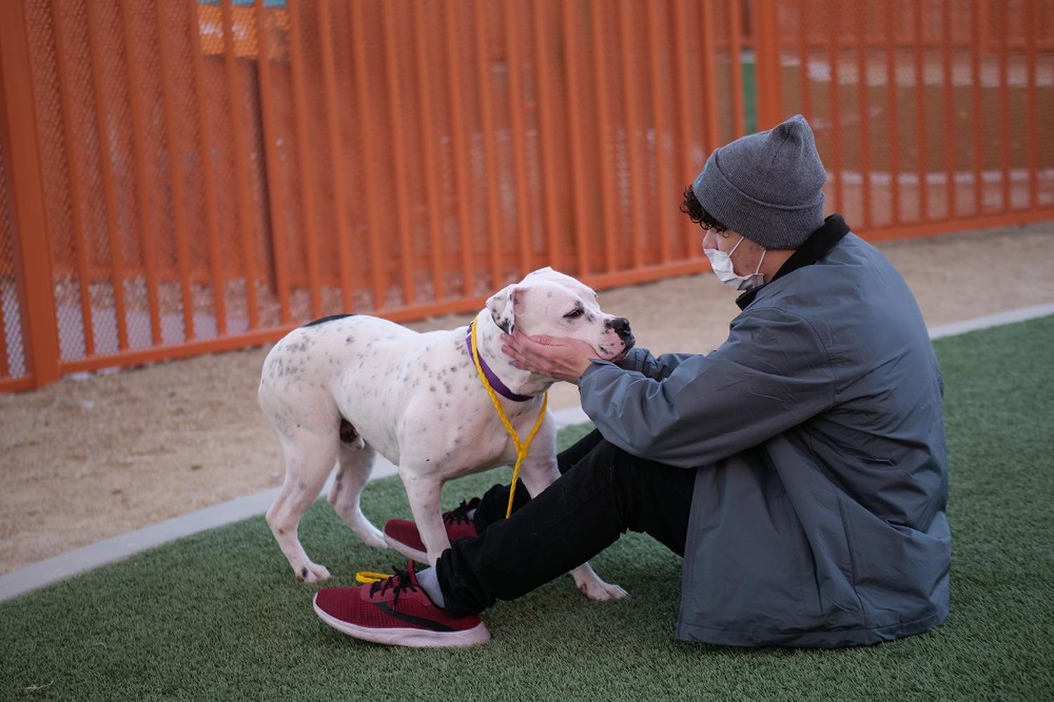 The Animal Foundation 2