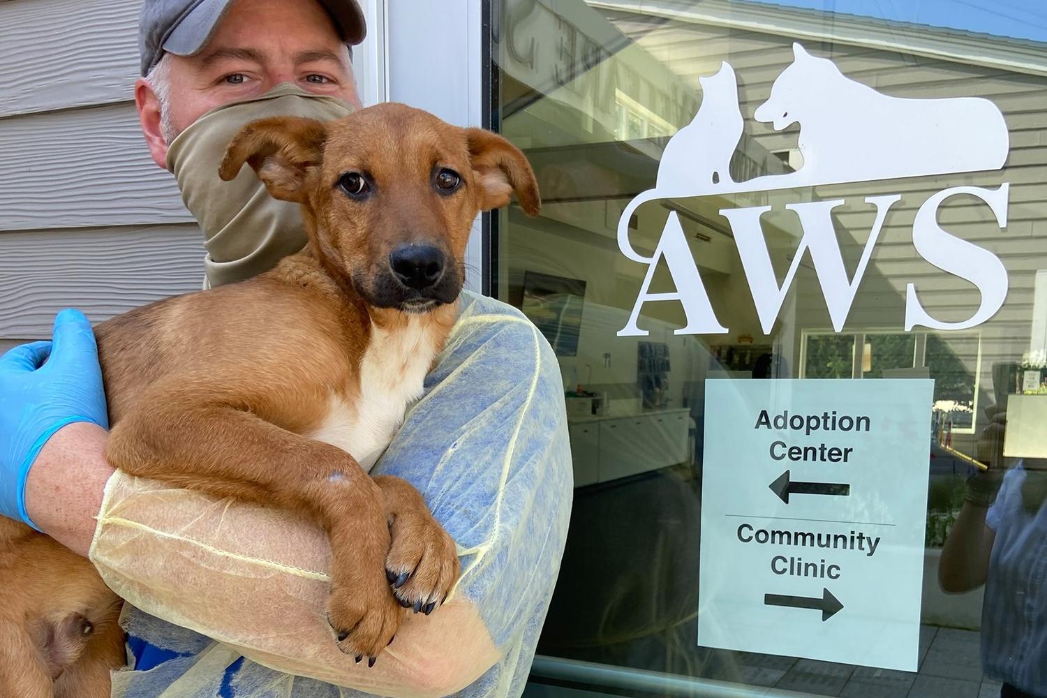 Animal Welfare Society 3