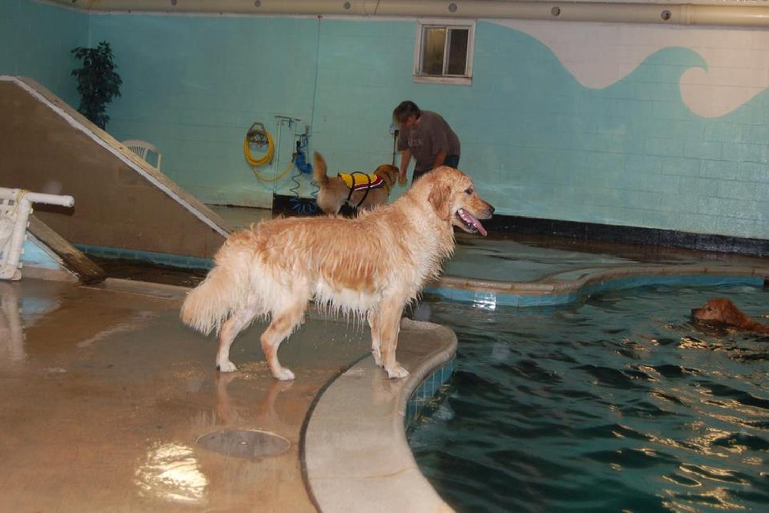 Therapy Pets Unlimited, Inc. 4