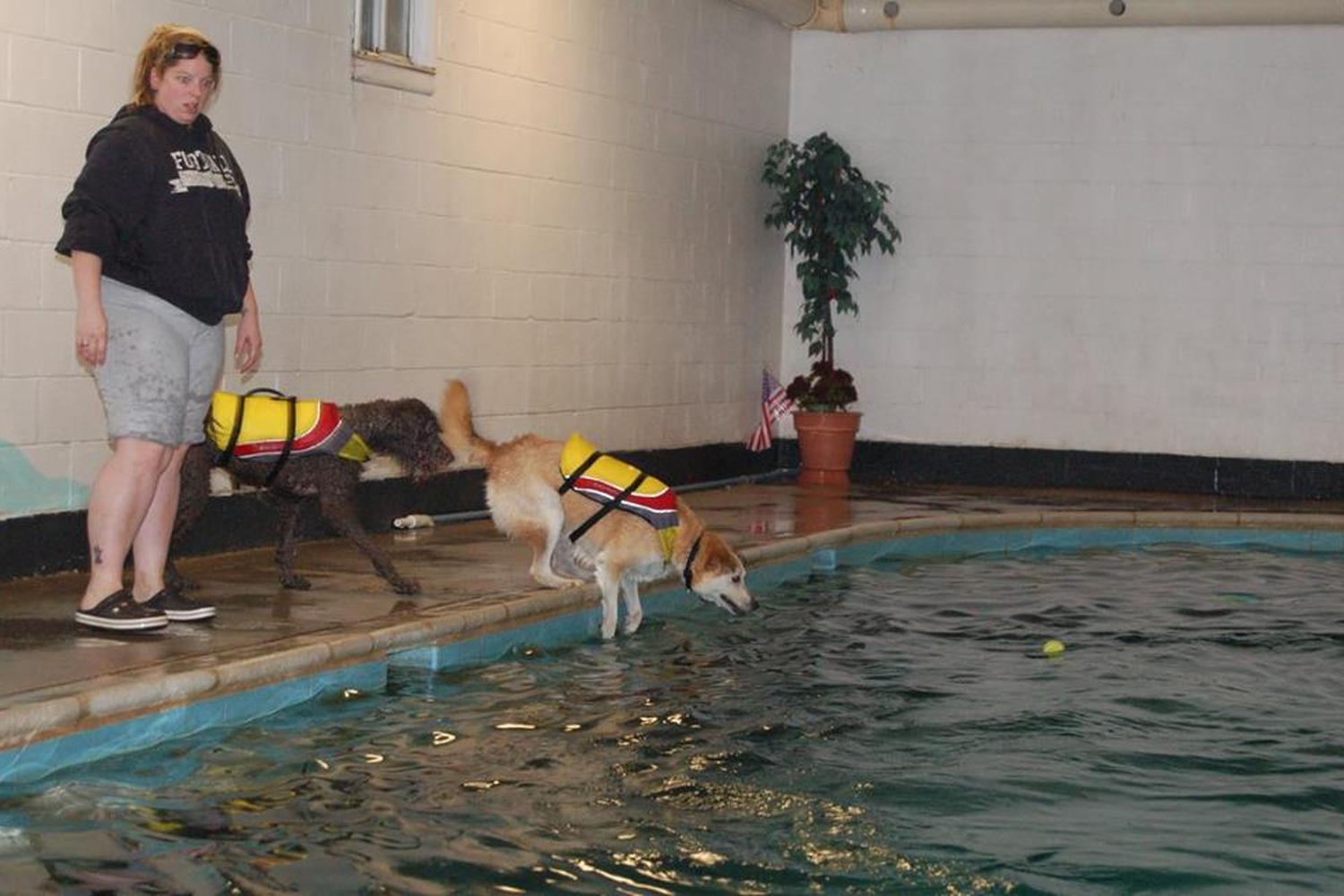 Therapy Pets Unlimited, Inc. 3