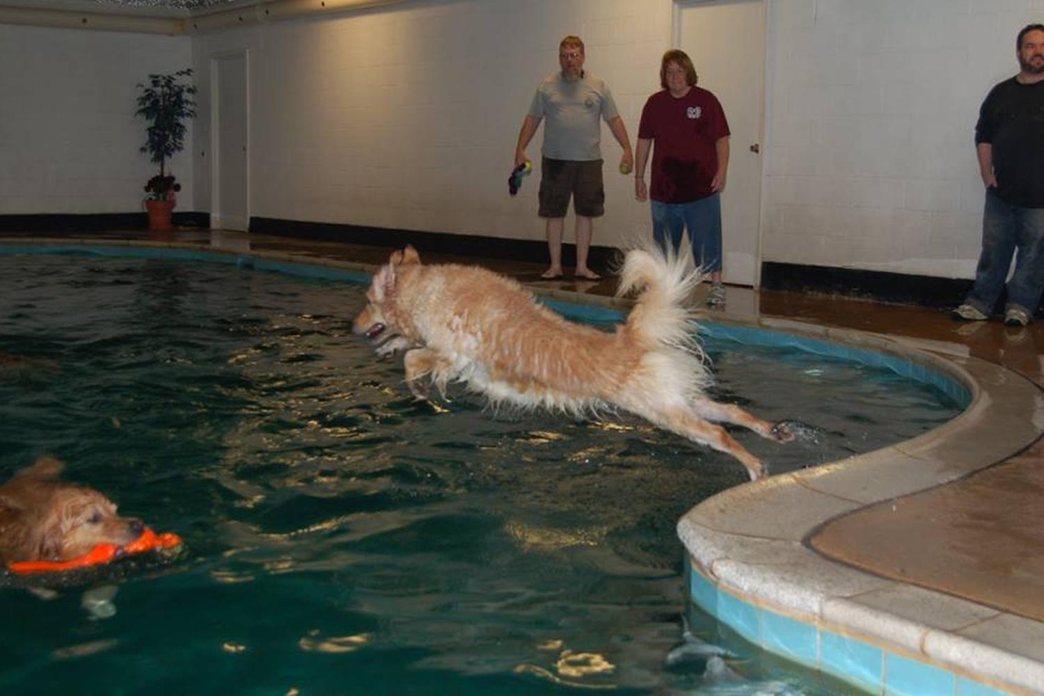 Therapy Pets Unlimited, Inc. 0