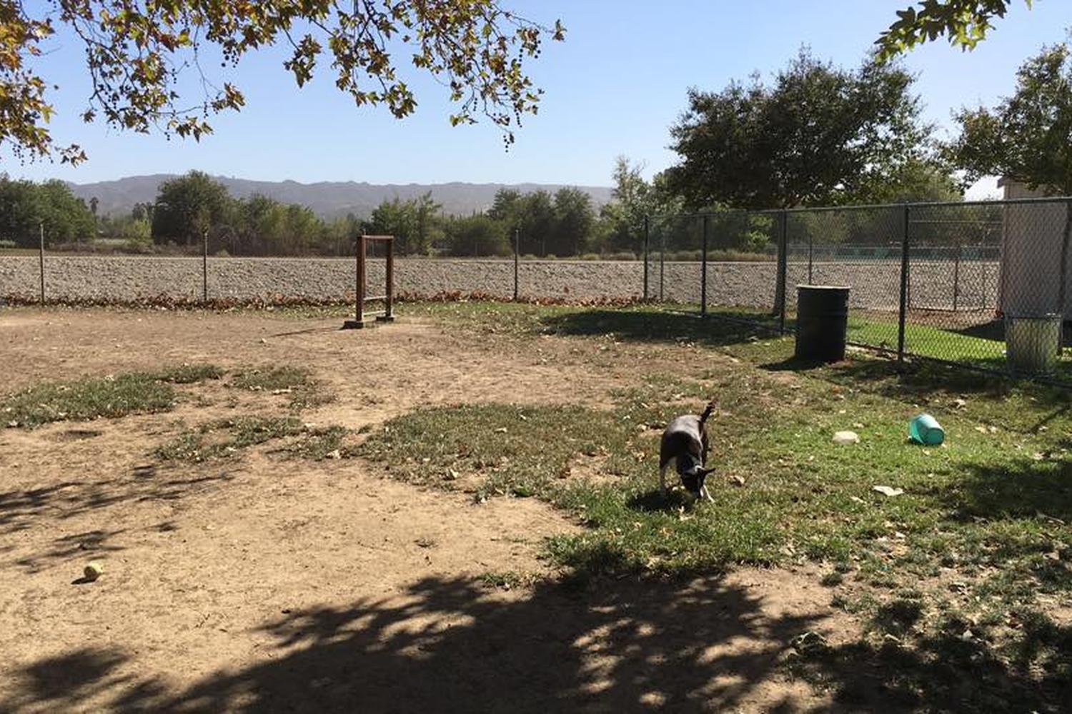 Sepulveda Basin Off-Leash Dog Park 5