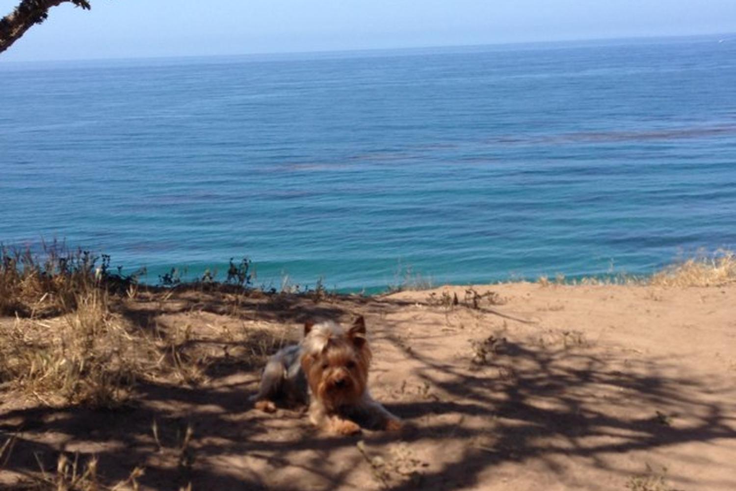 Douglas Family Preserve 6