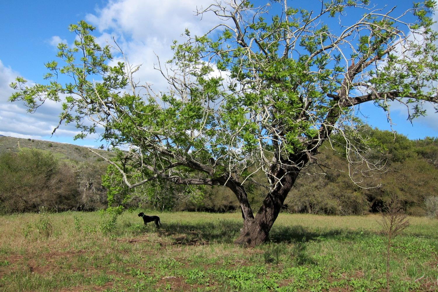 Douglas Family Preserve 4