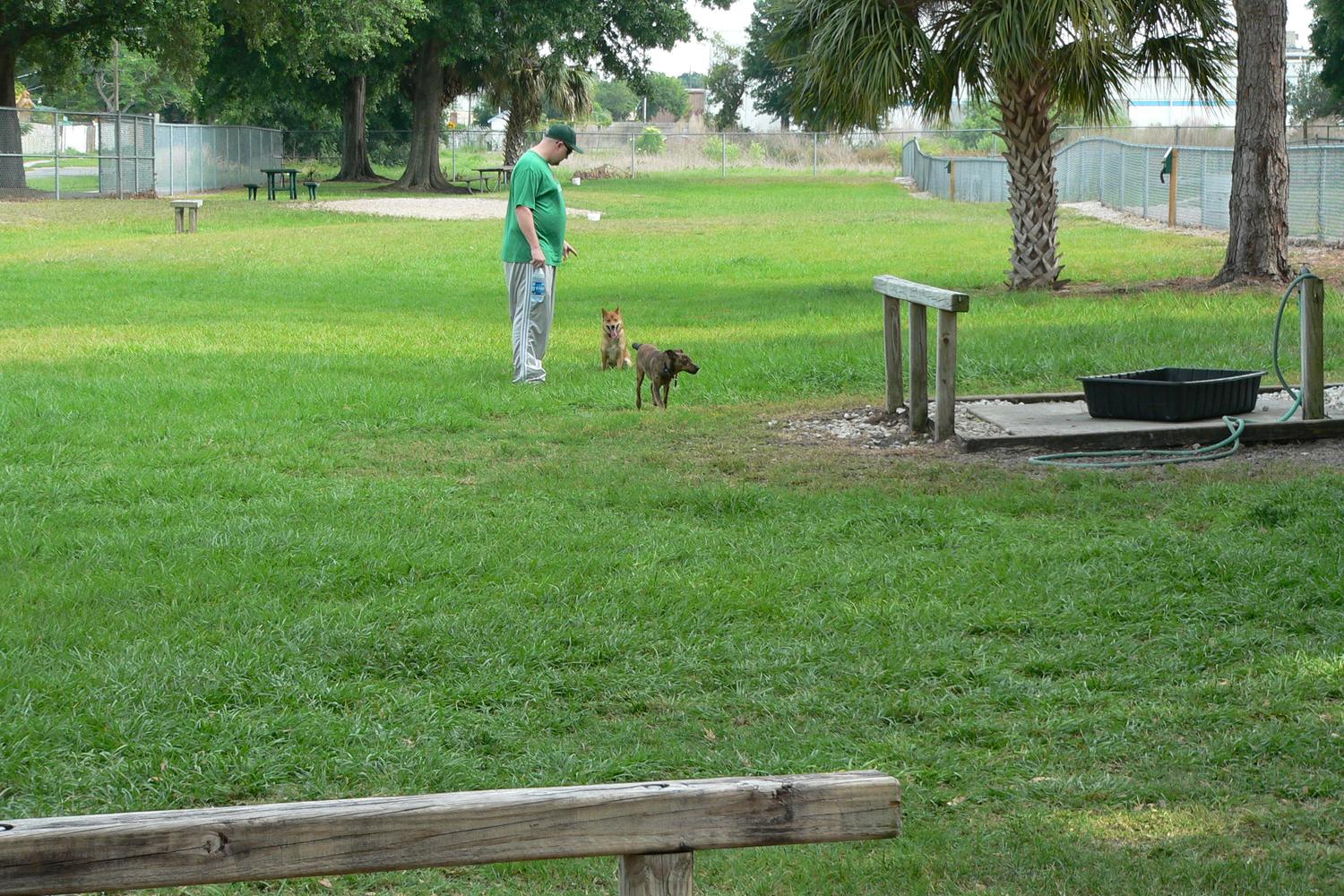 West Park Dog Park 0