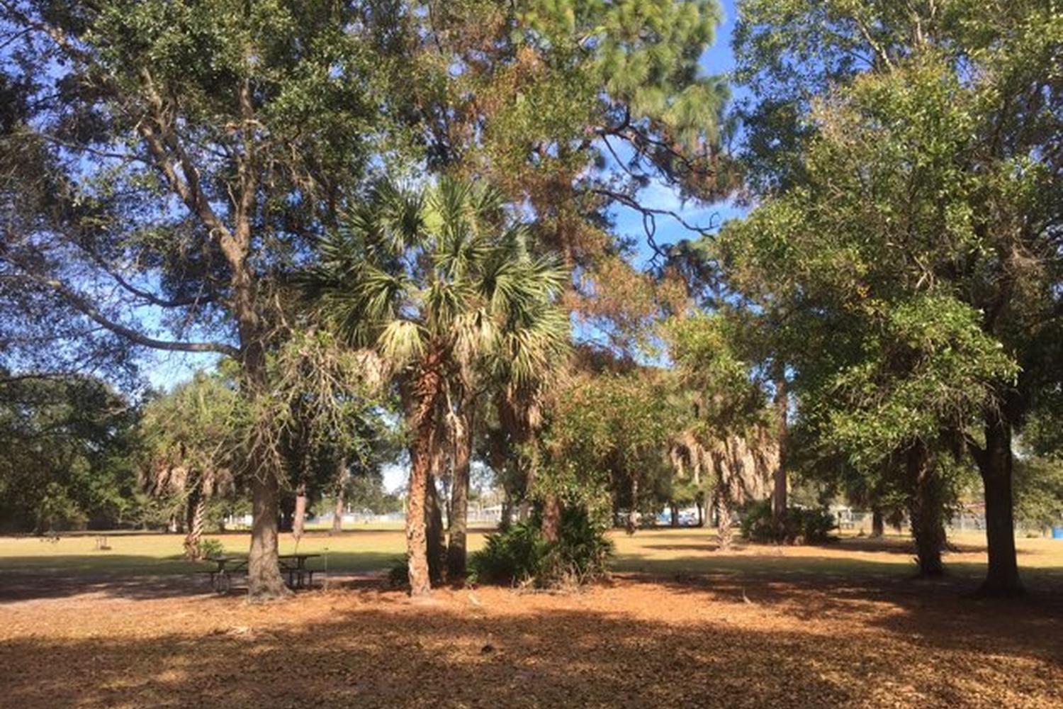 West Park Dog Park 5