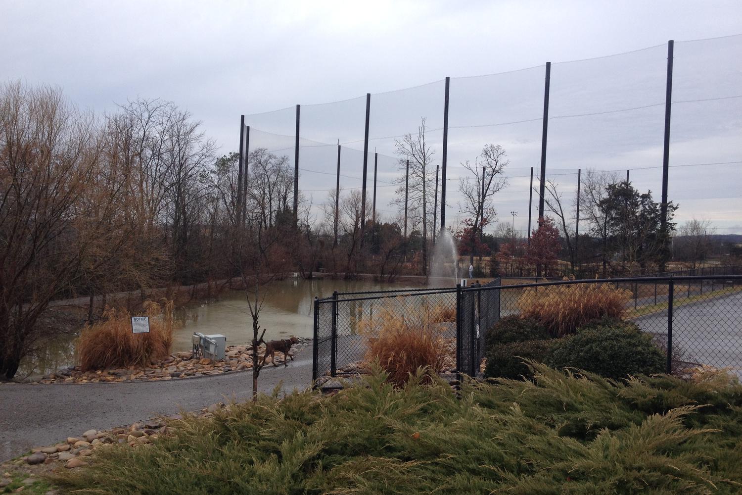 PetSafe Village Dog Park 5