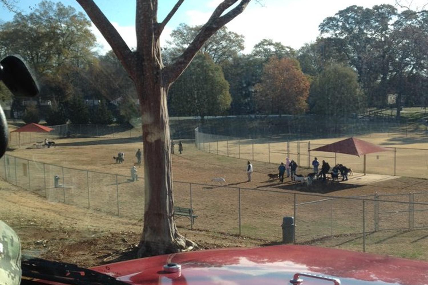 Lewis Dog Park 1