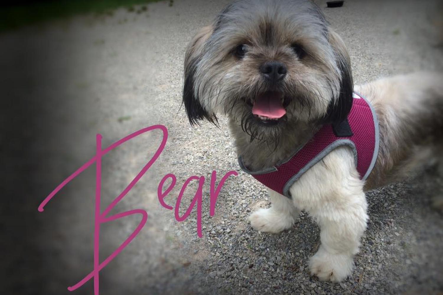 Tommy Shumpert Park at PetSafe Village 0