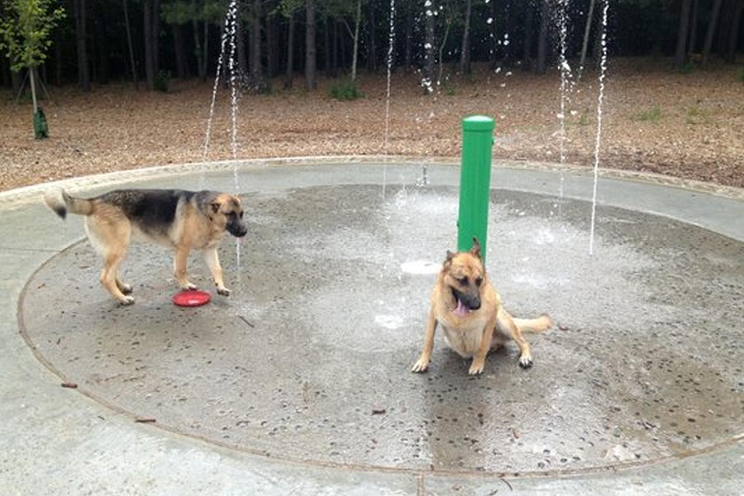 Chattapoochee Dog Park 3