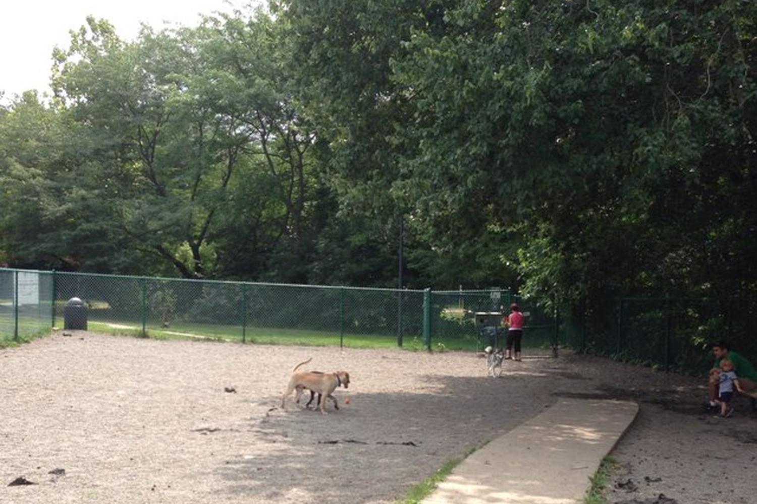 Cooper River Dog Park 3