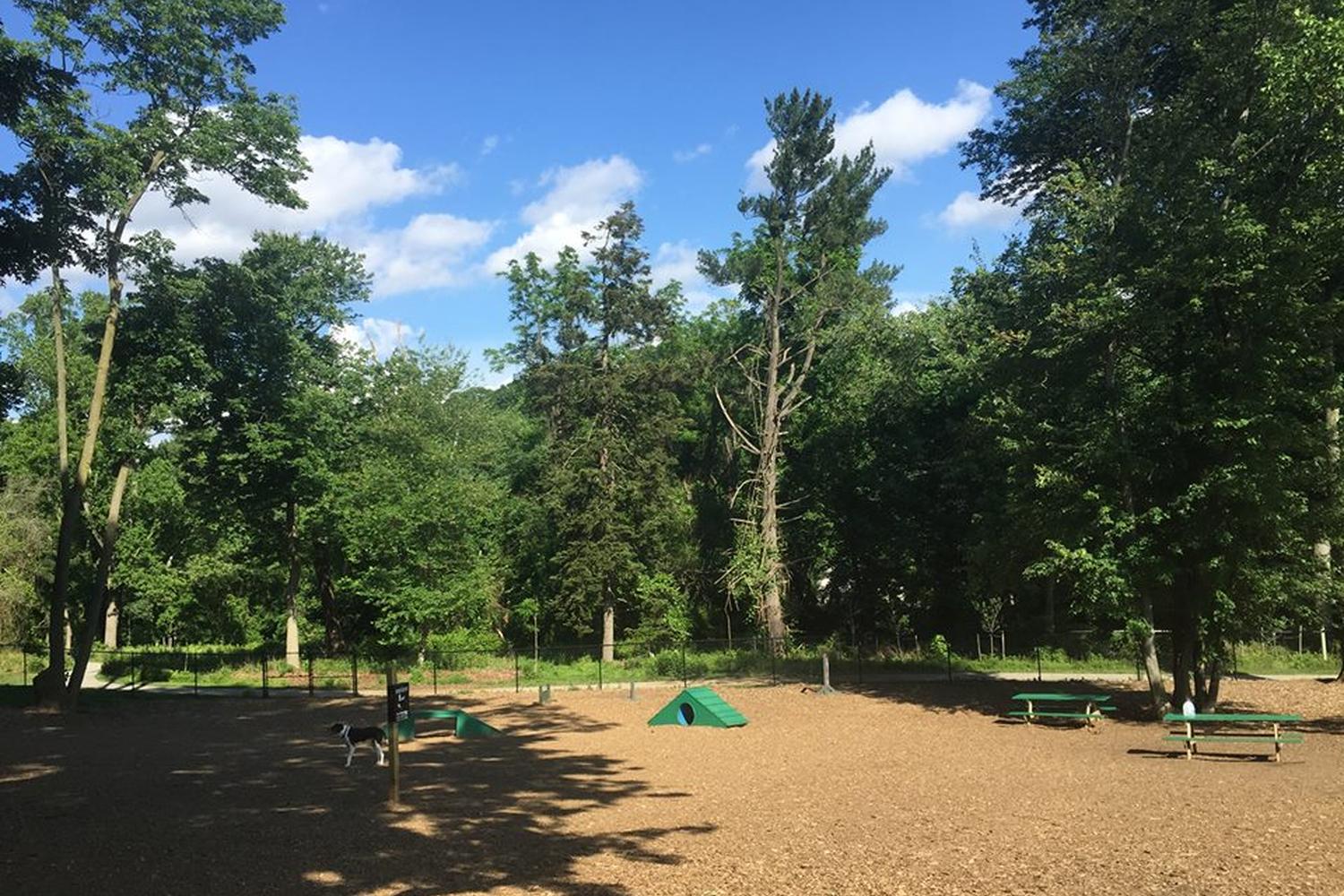 Haverford Reserve Dog Park 0