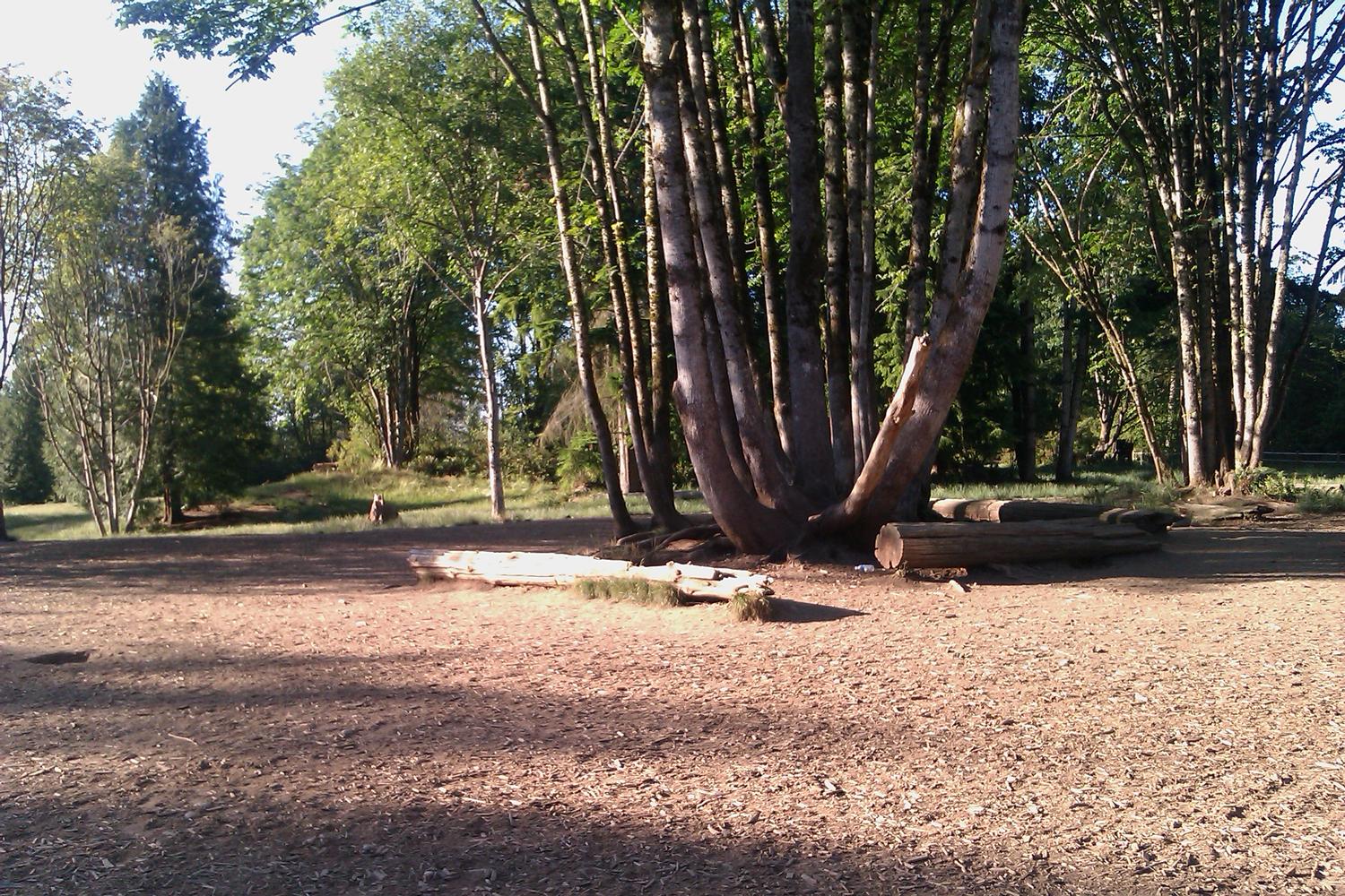 Willis Tucker Dog Park 3