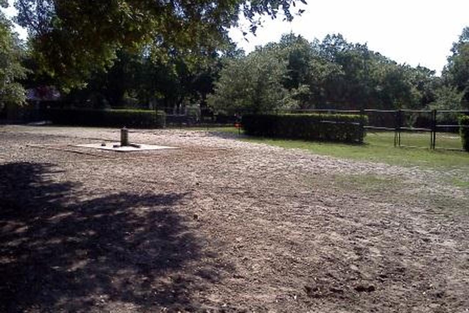 Palma Ceia Dog Park 2