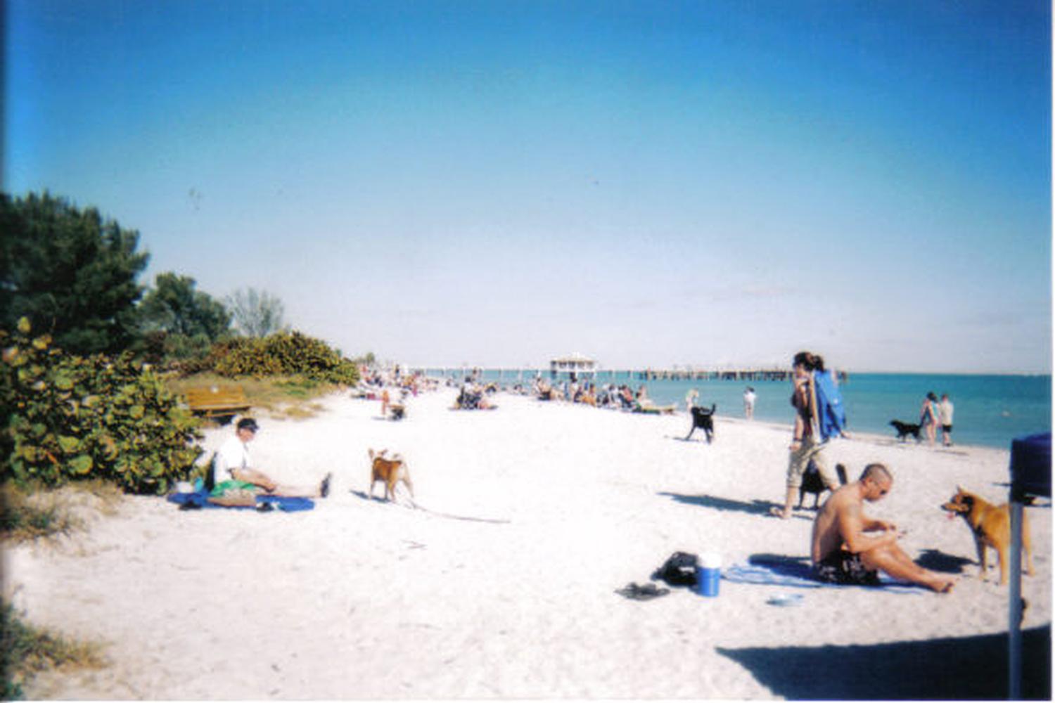 Fort De Soto Dog Beach Park 14