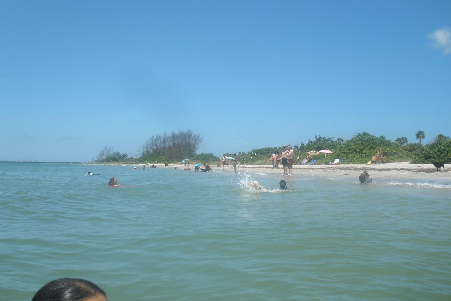 Fort De Soto Dog Beach Park 40