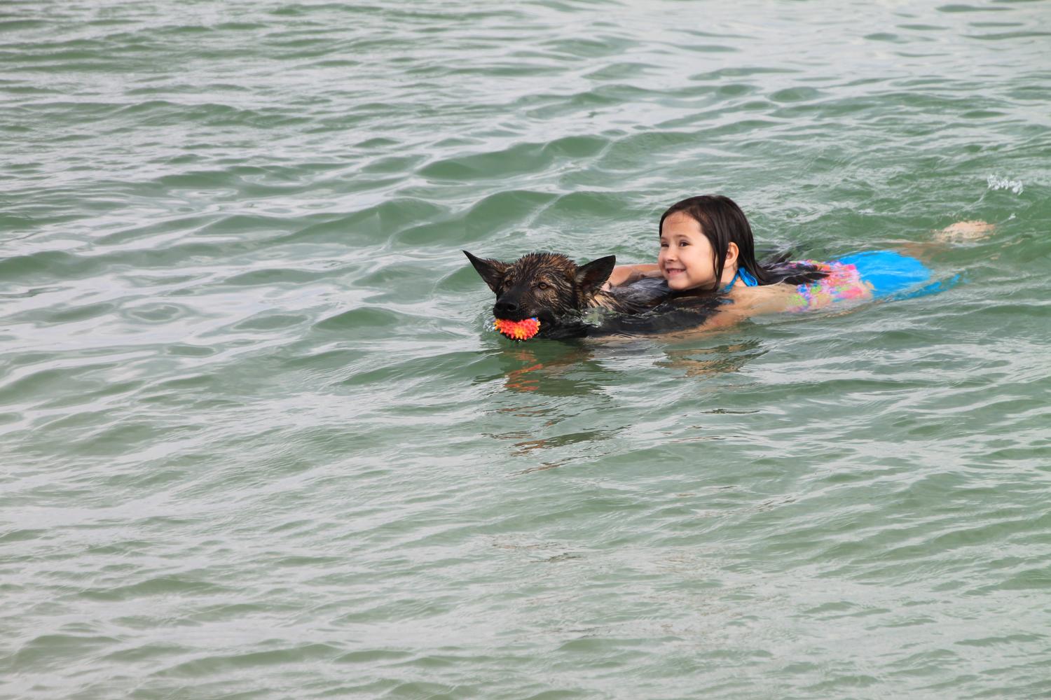 Fort De Soto Dog Beach Park 61