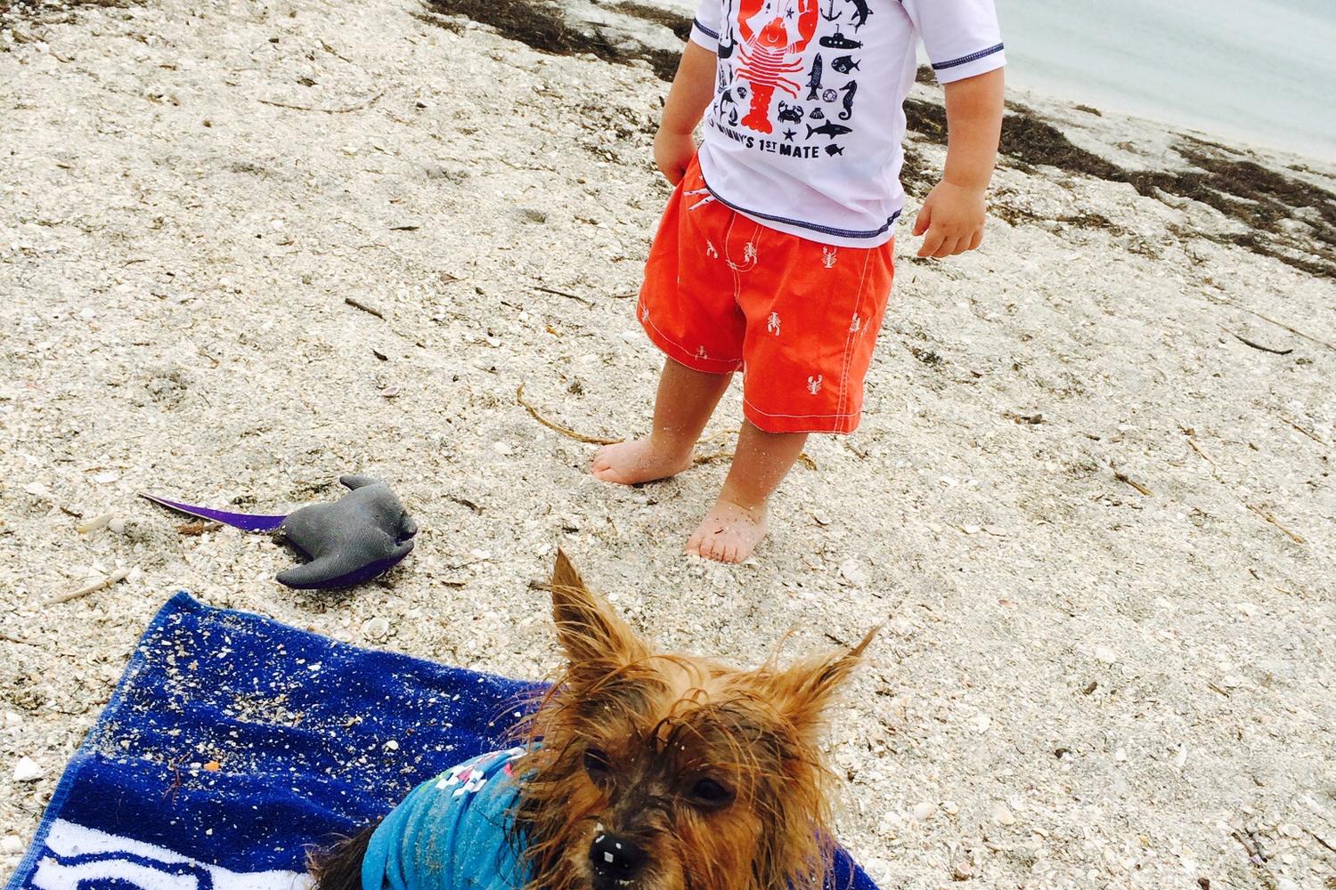 Fort De Soto Dog Beach Park 71