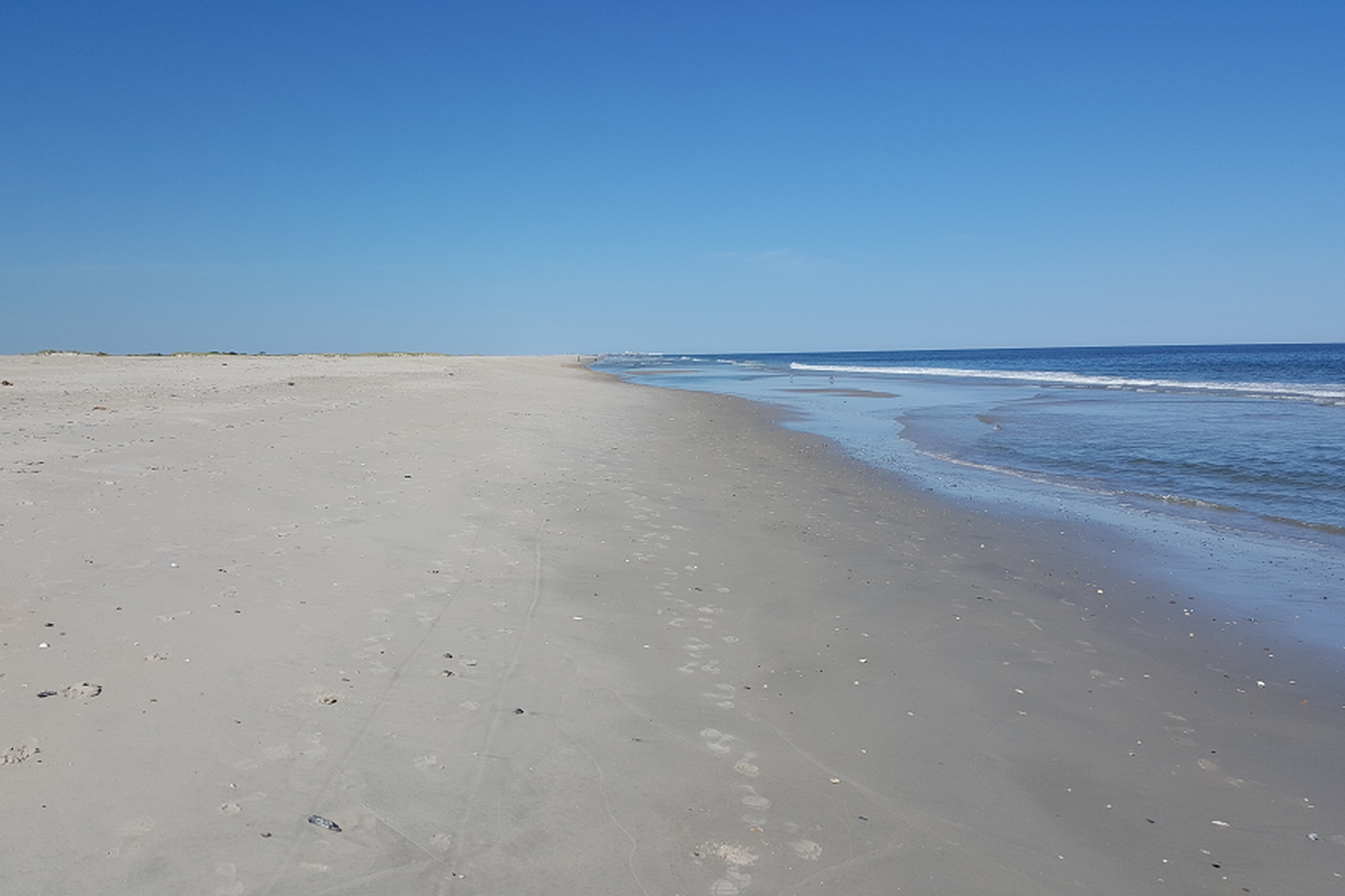 Assateague National Seashore 18