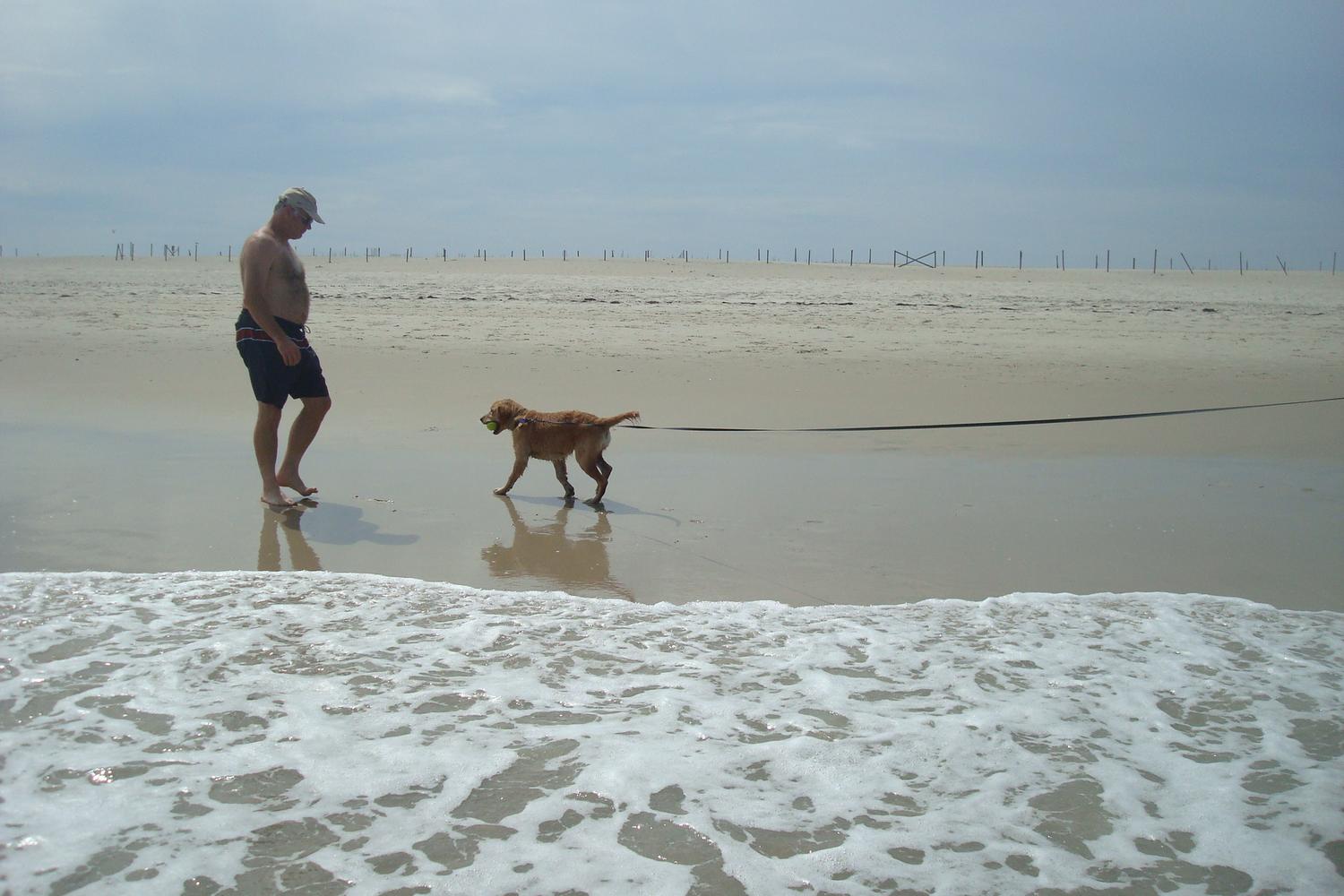 Assateague National Seashore 1