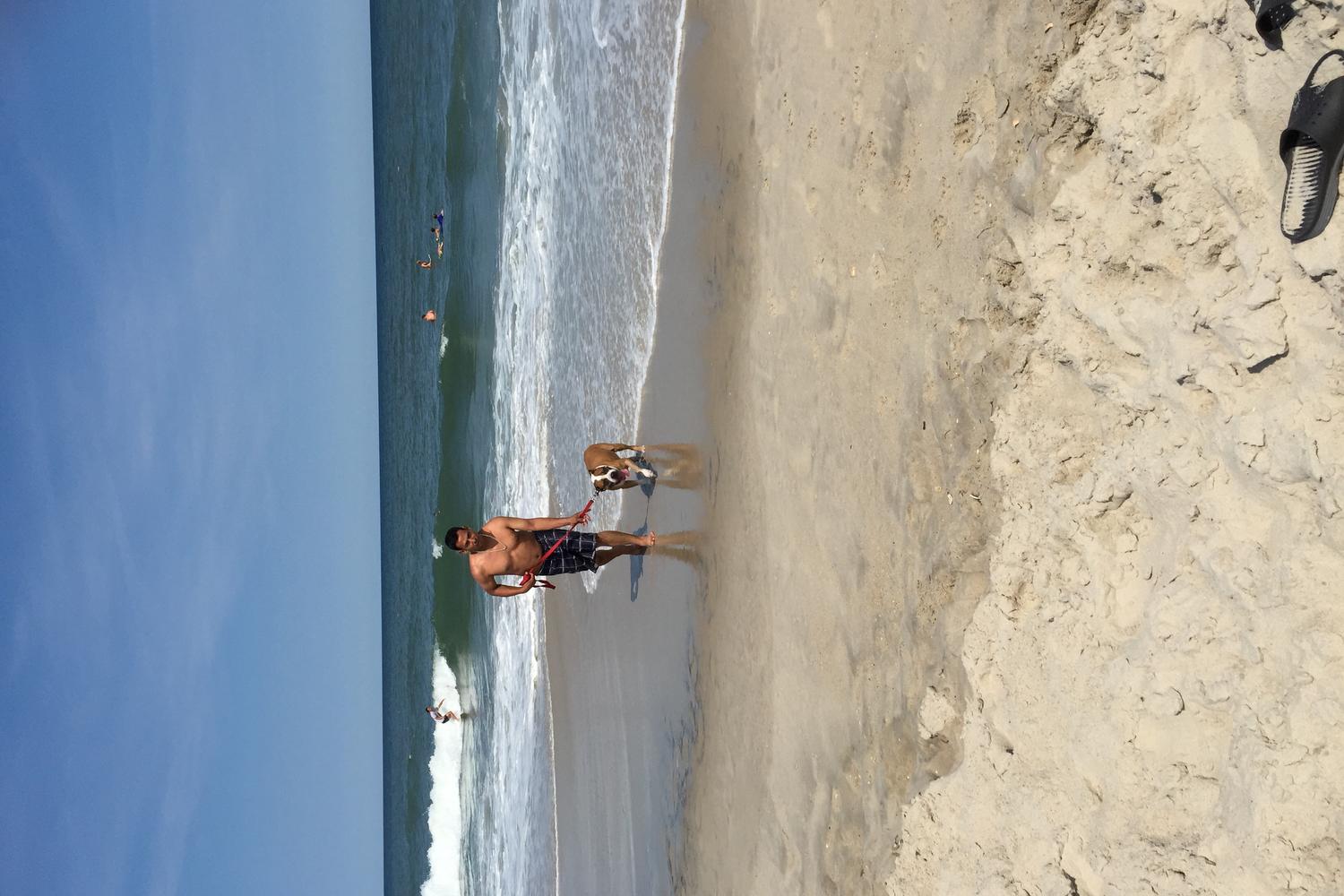 Assateague National Seashore 12