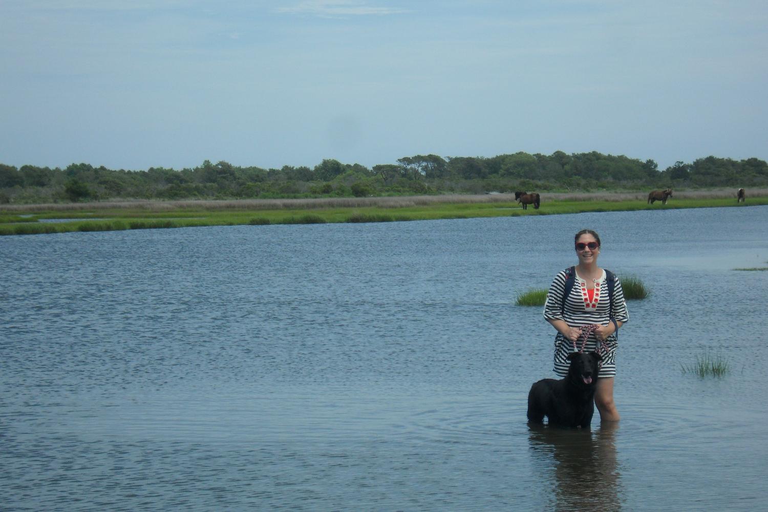 Assateague National Seashore 7
