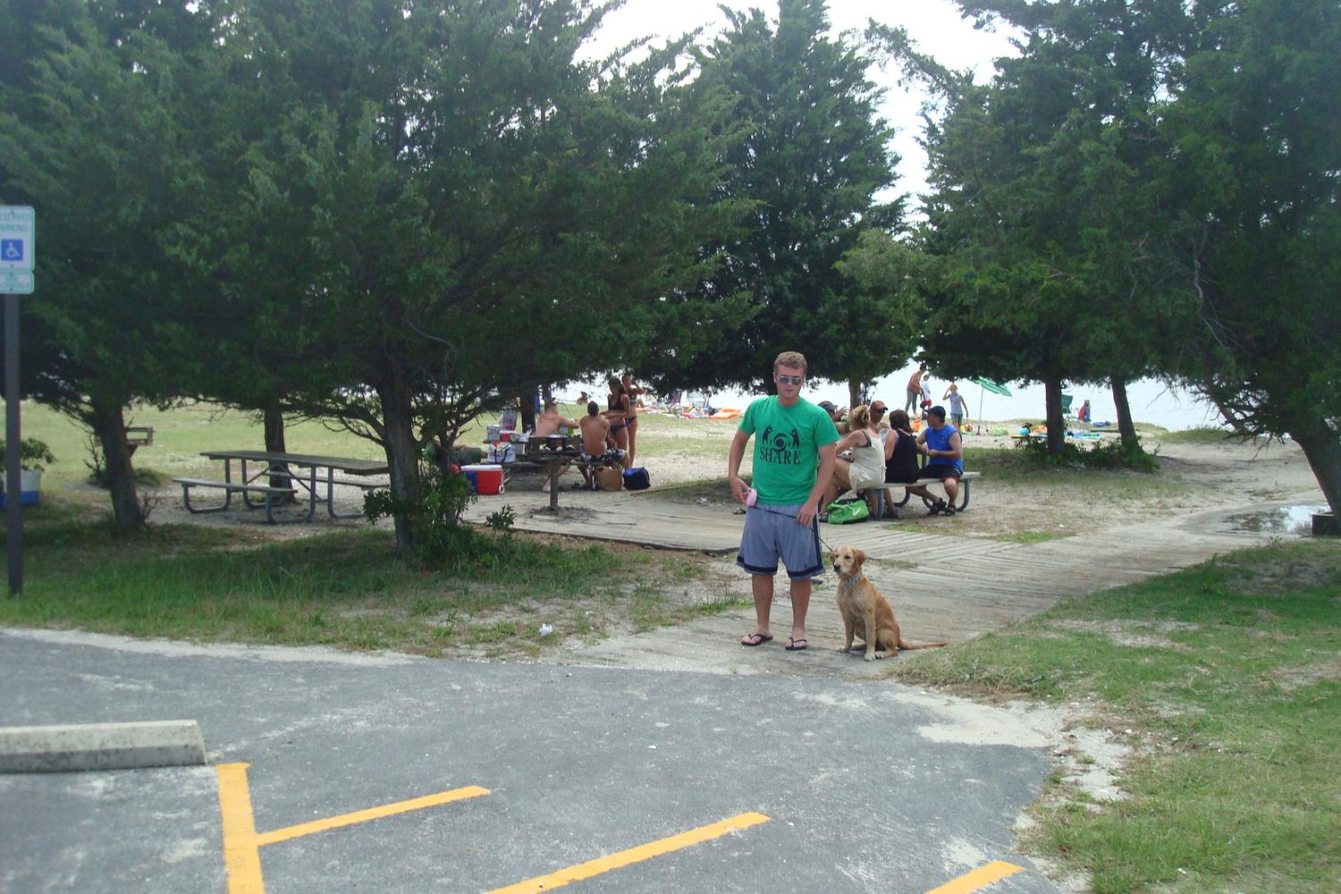 Assateague National Seashore 3