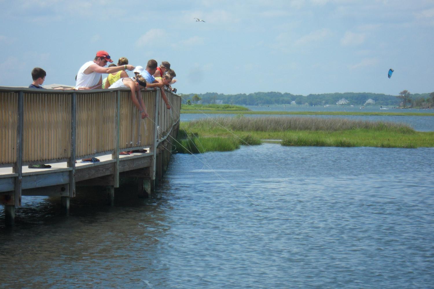 Assateague National Seashore 8