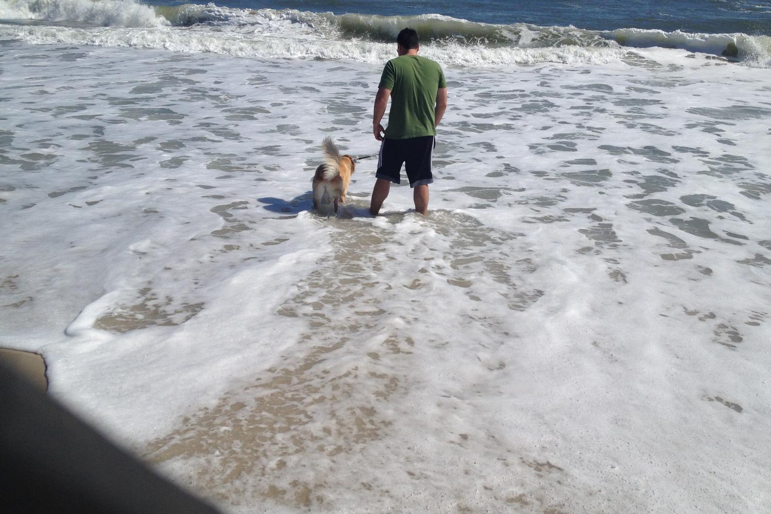 Assateague National Seashore 10