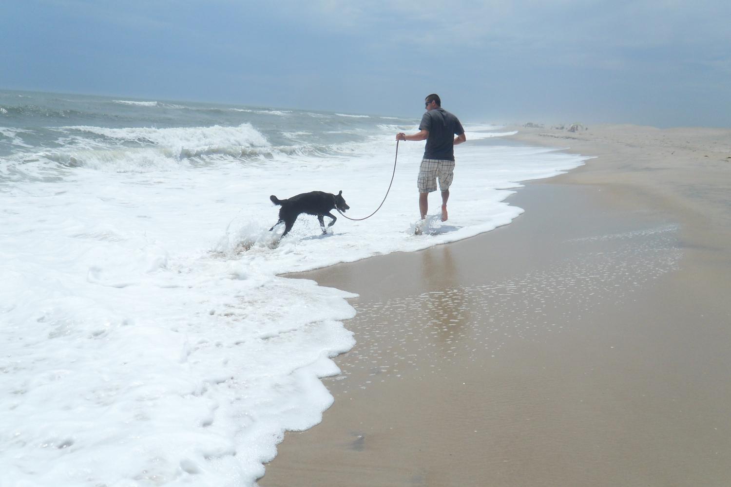 Assateague National Seashore 5