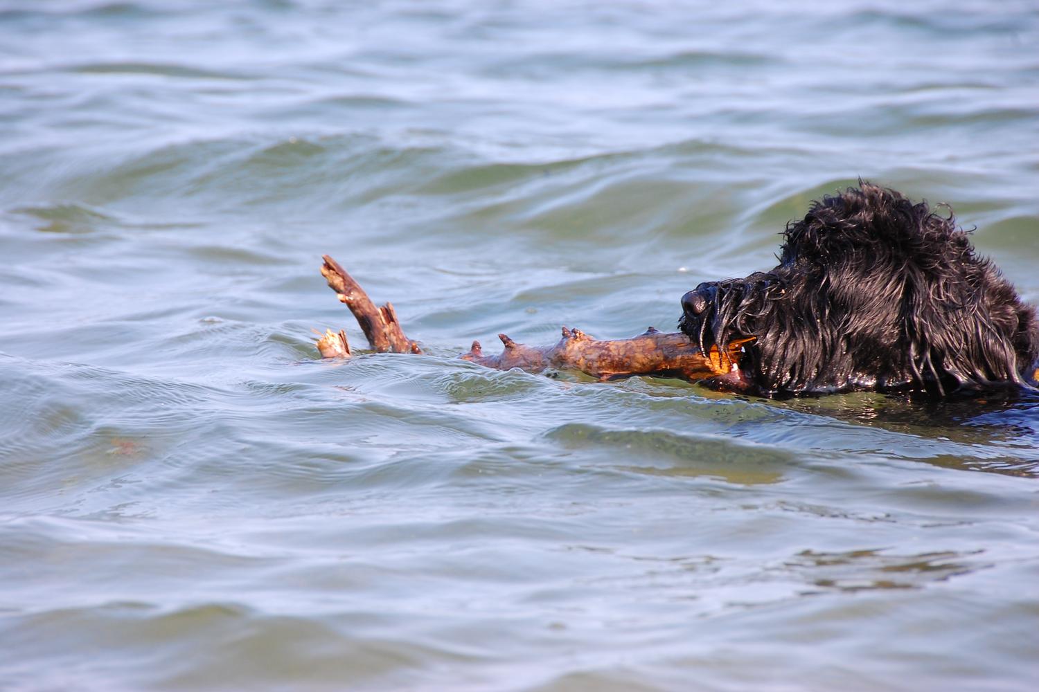 Fisherman's Cove Conservation Area 40