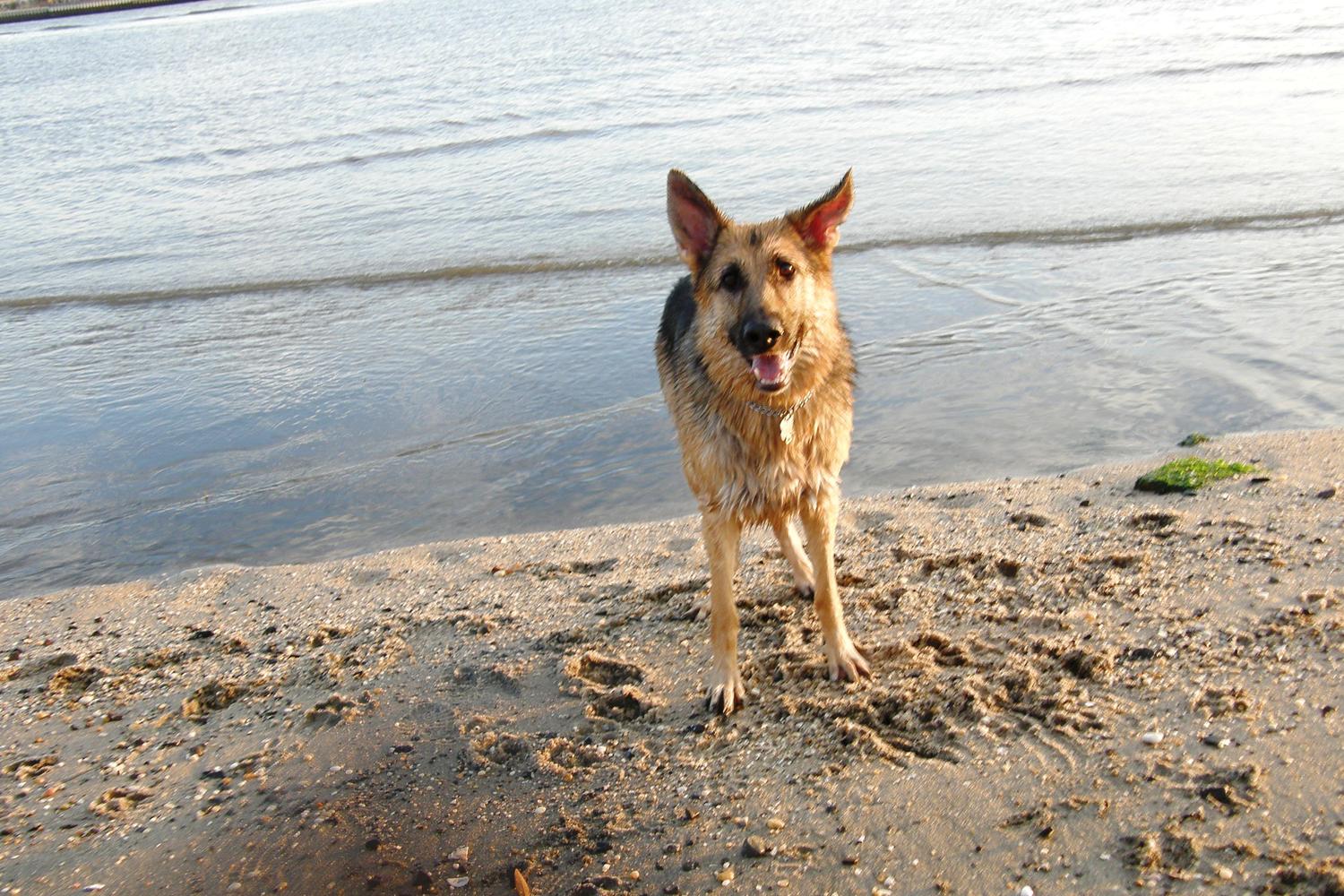 Fisherman's Cove Conservation Area 13