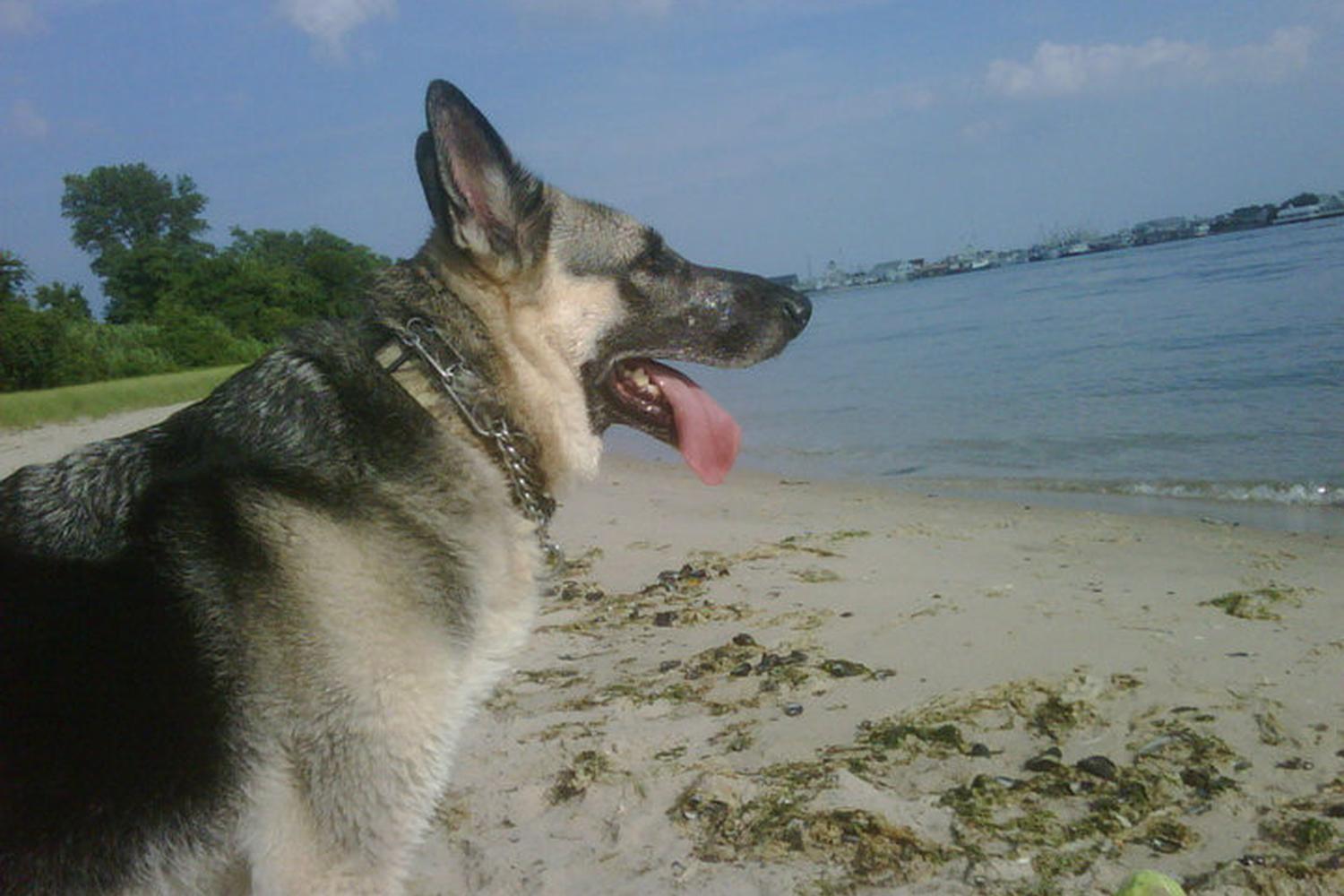 Fisherman's Cove Conservation Area 87