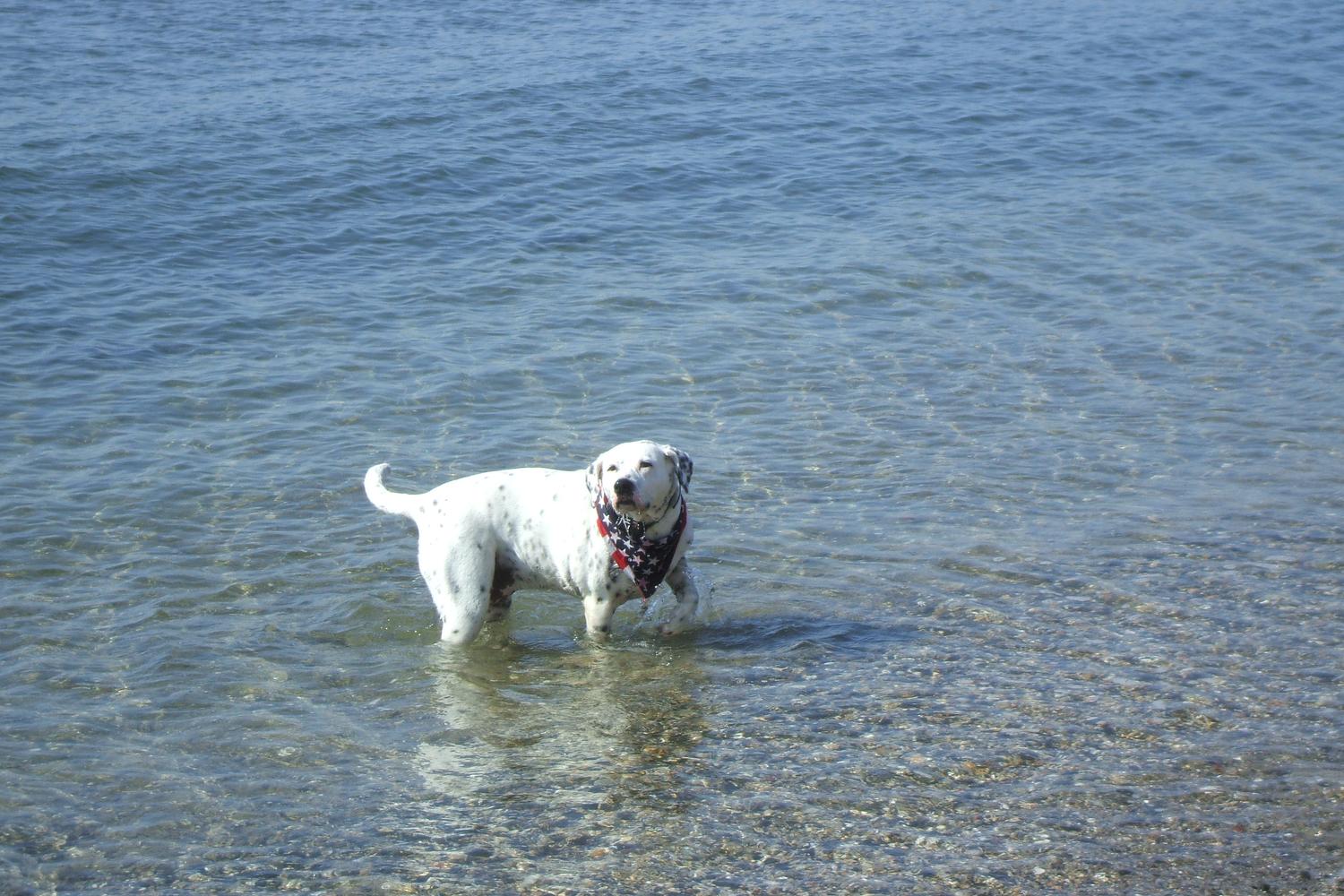 Fisherman's Cove Conservation Area 85