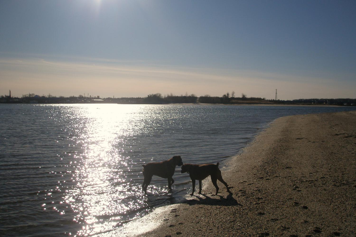 Fisherman's Cove Conservation Area 72