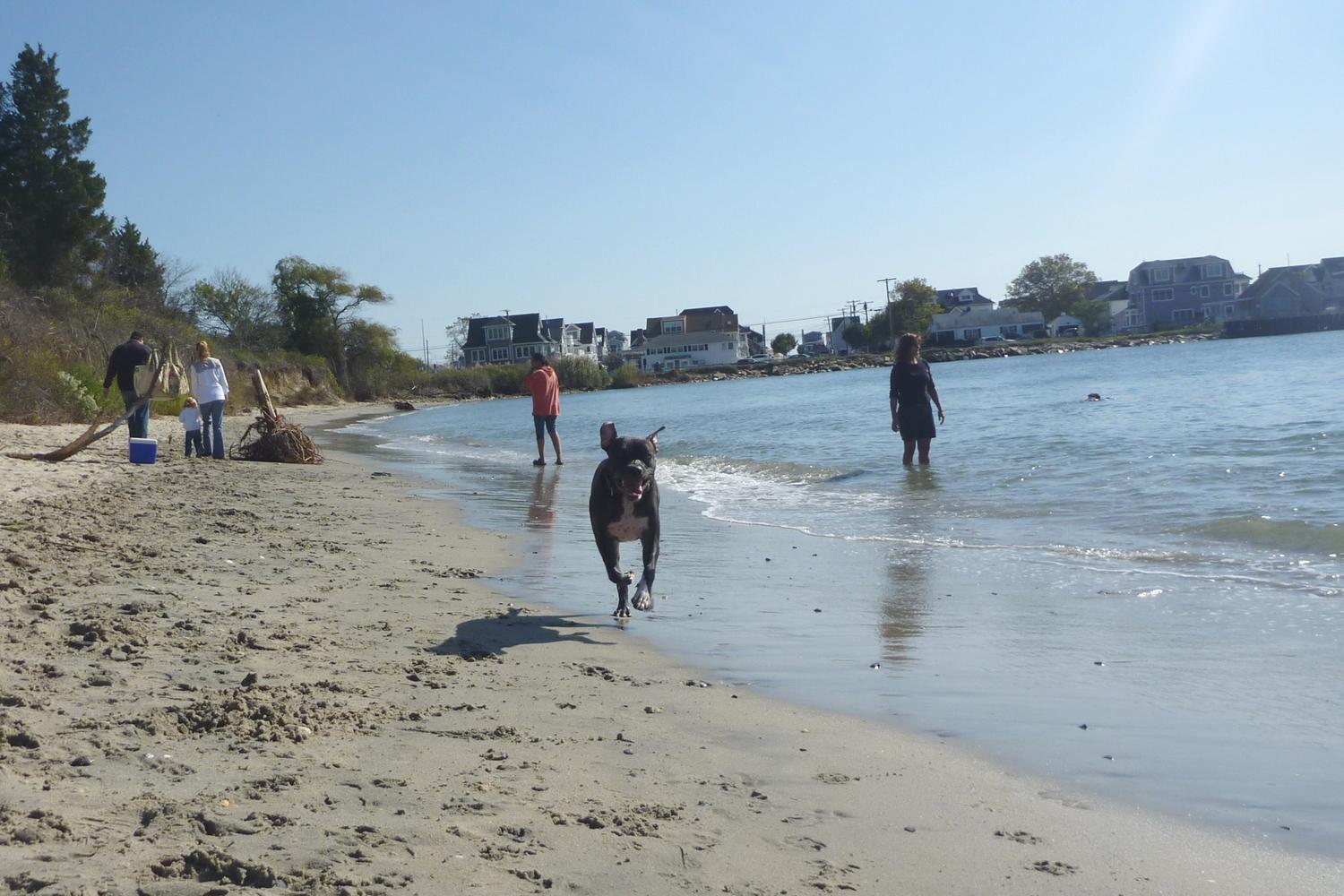 Fisherman's Cove Conservation Area 48
