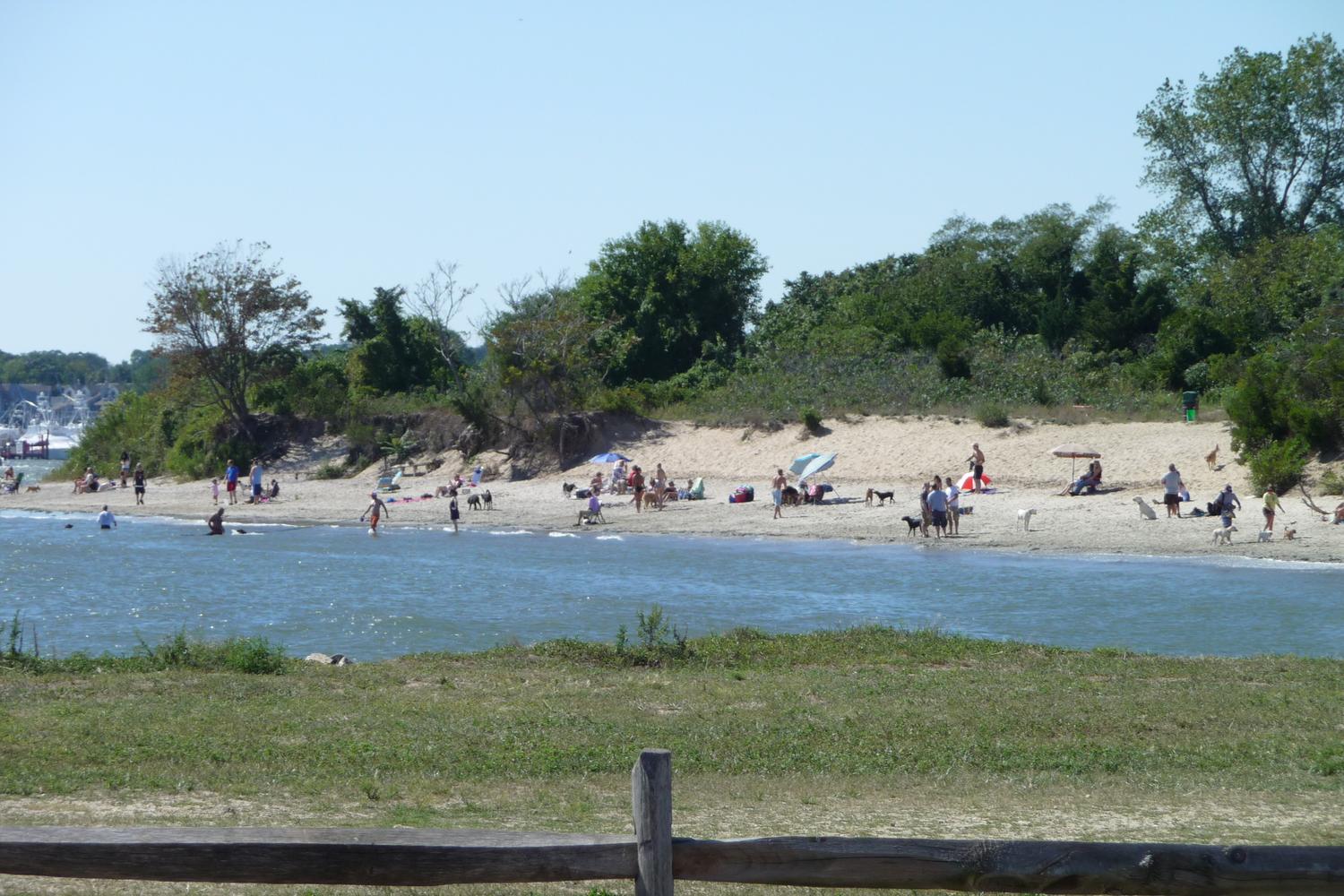 Fisherman's Cove Conservation Area 71
