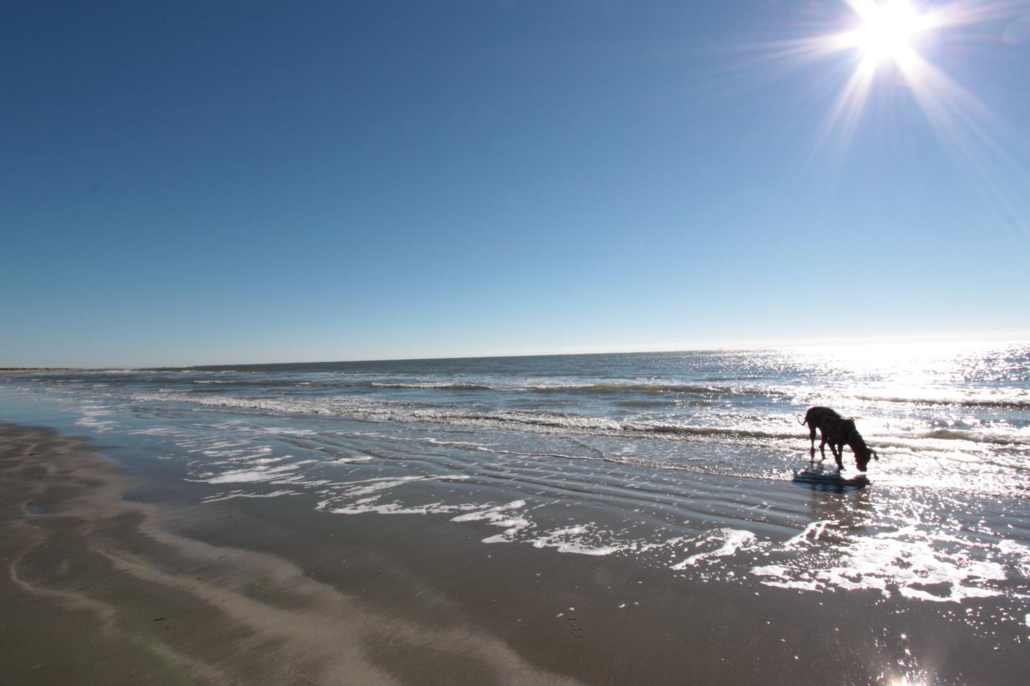 Beach at Sullivans Island 5