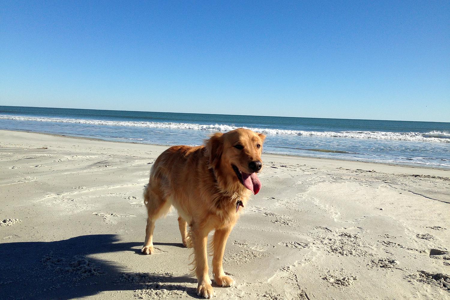 Myrtle Beach State Park 4