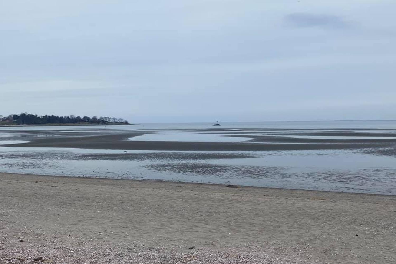 Compo Beach Off-Leash Dog Area 3
