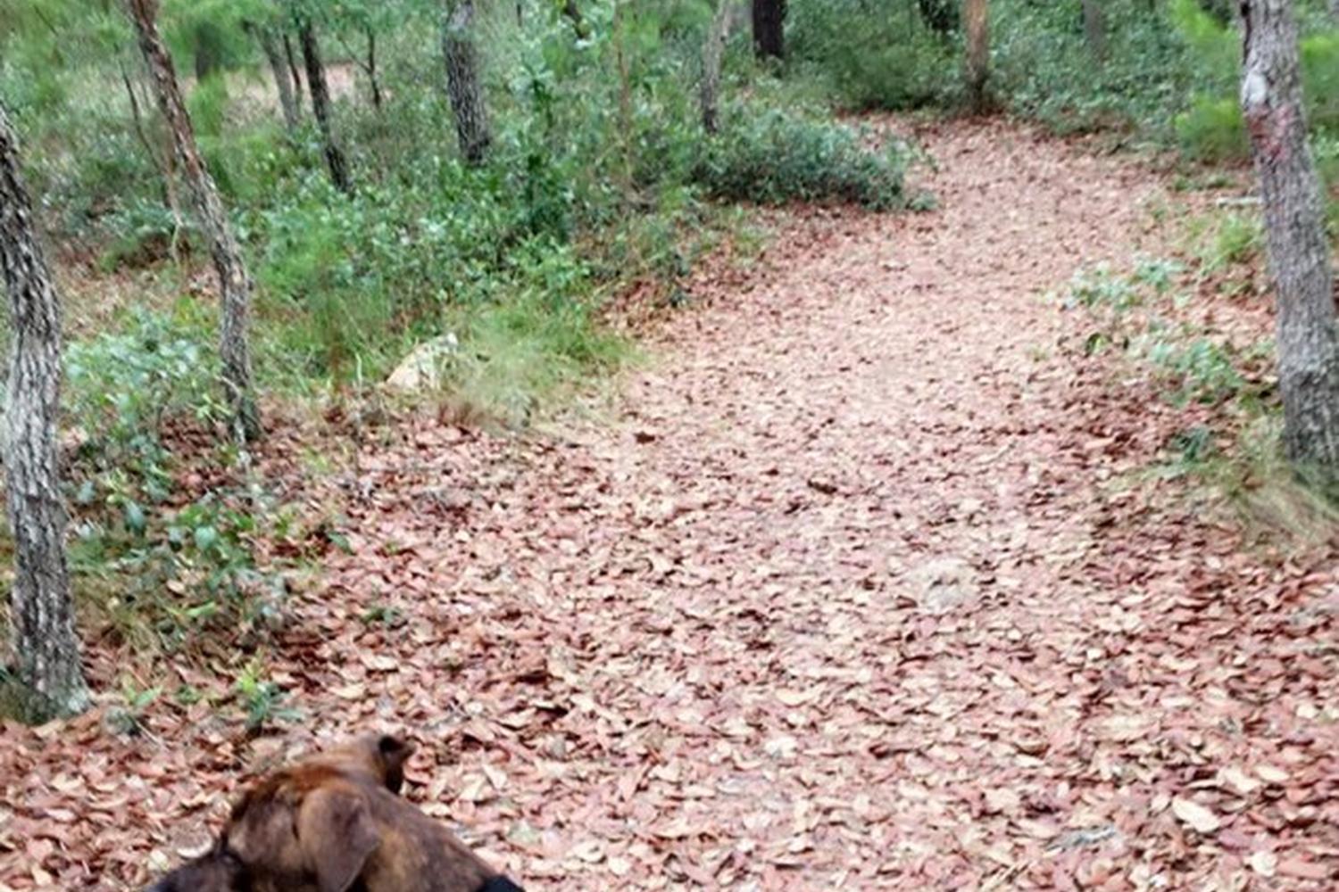 Jay B. Starkey Wilderness Park 3
