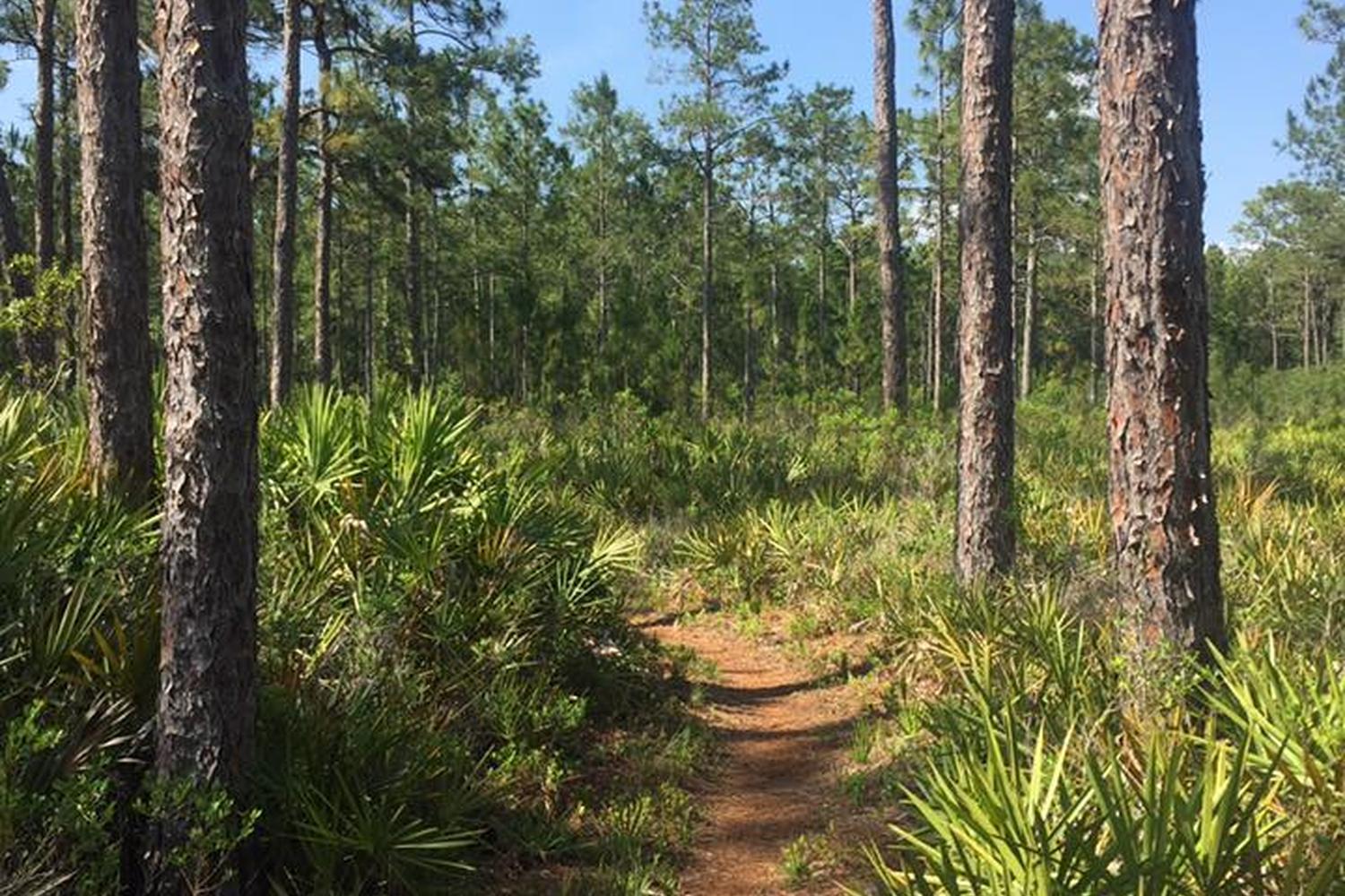 Jay B. Starkey Wilderness Park 4