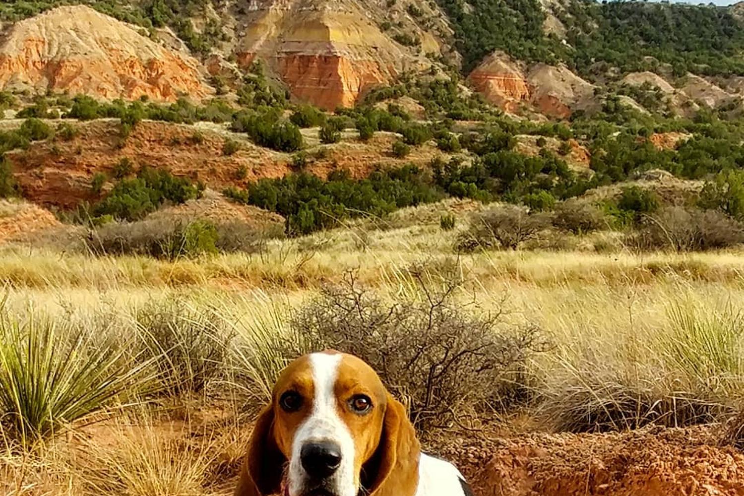 Palo Duro Canyon State Park 10
