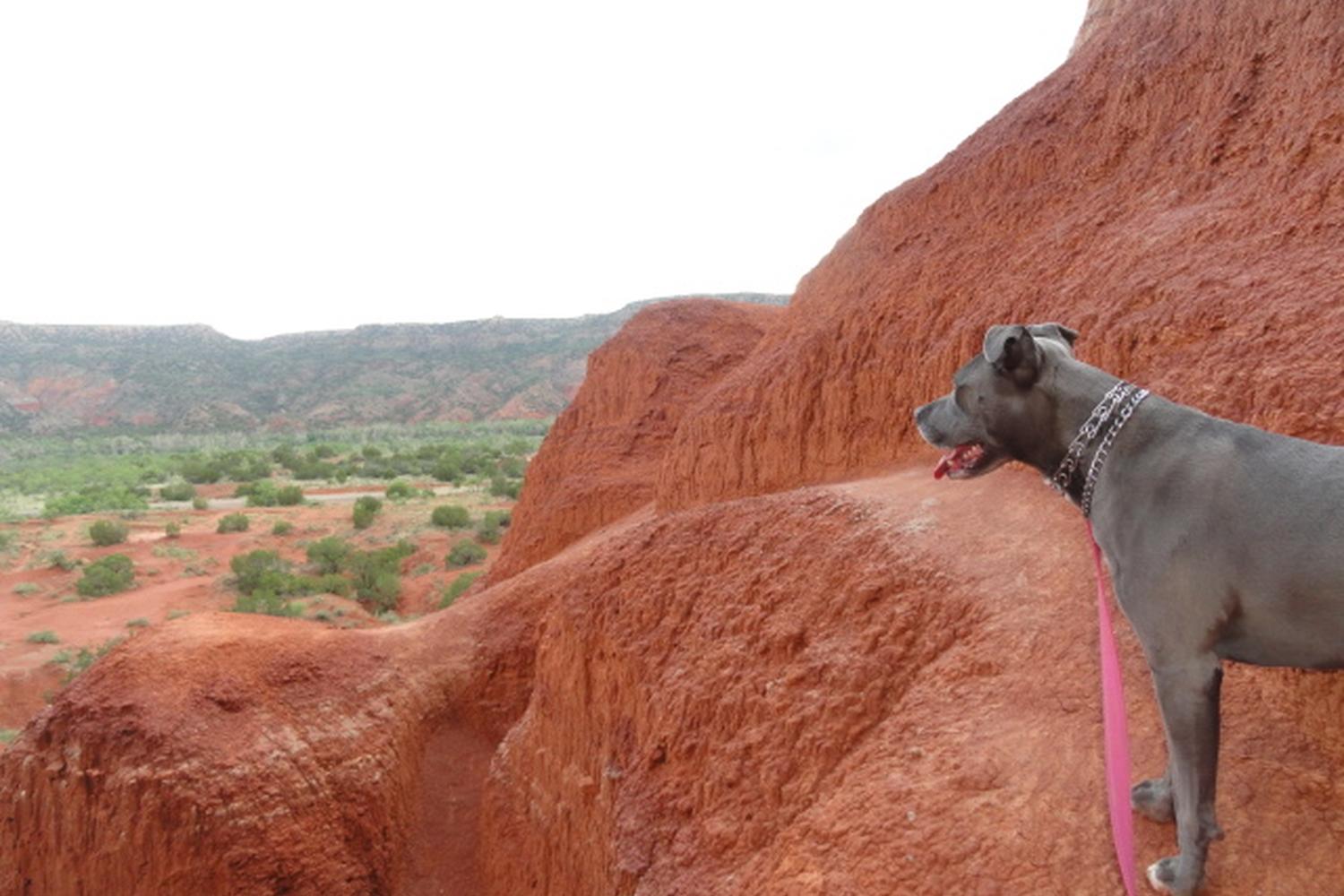Palo Duro Canyon State Park 0
