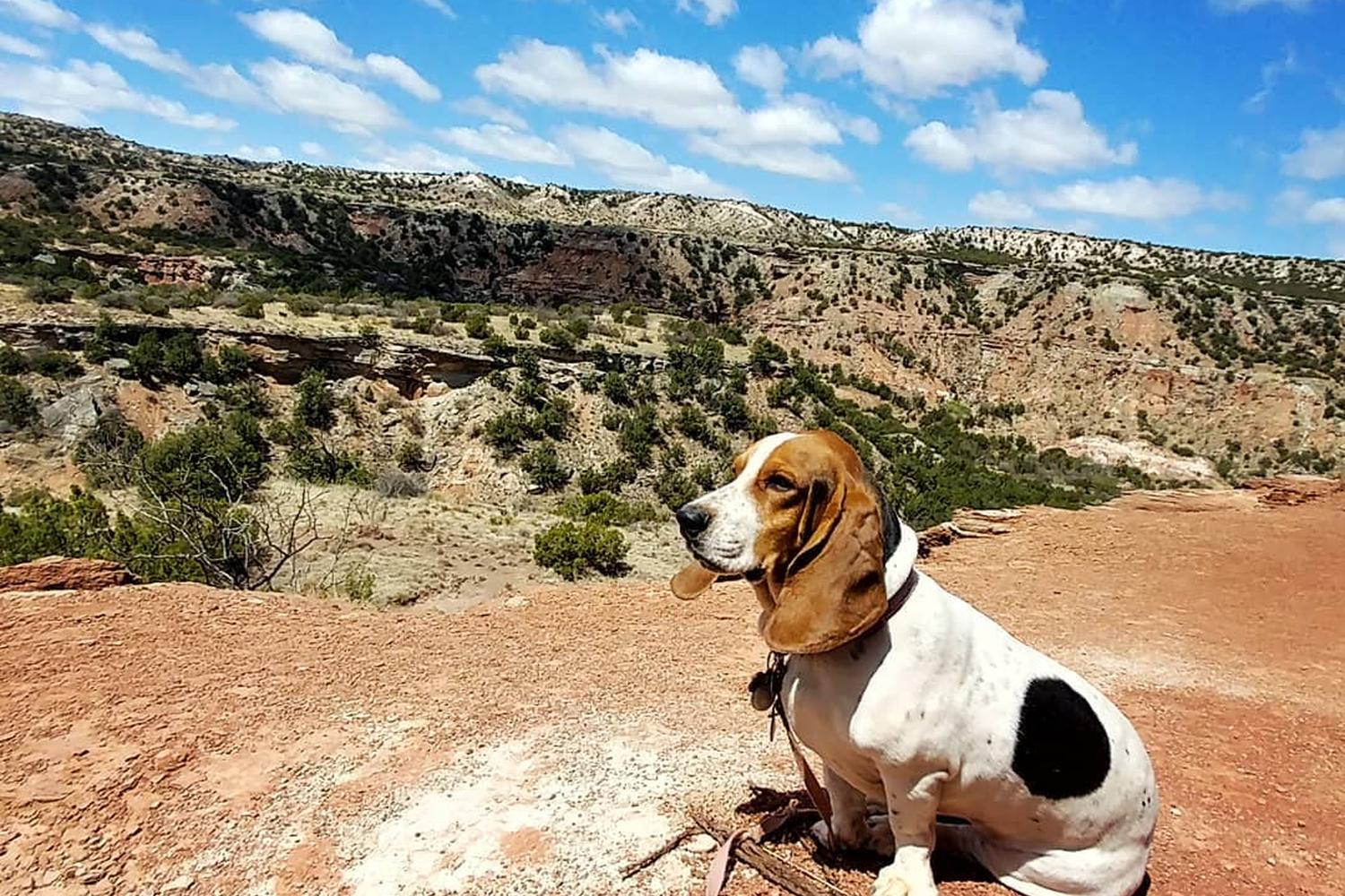 Palo Duro Canyon State Park 8